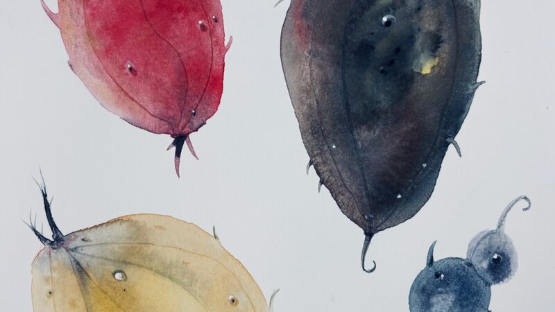 Painting in gouache,  February 2025. 