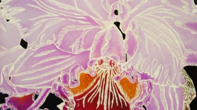 Enlightened and Lacy