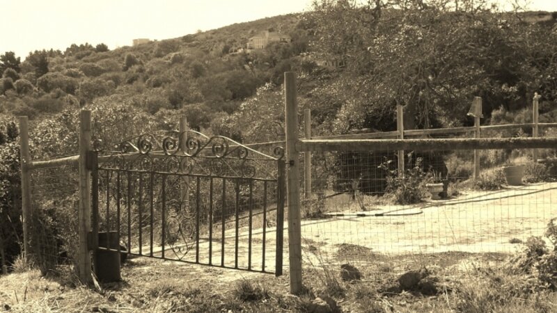 Sonoma County Gate Picture
