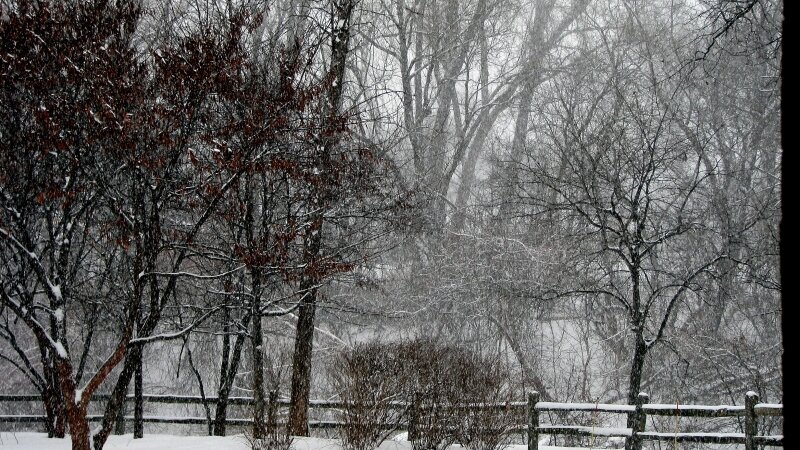 "Winter Comes To Oakwood Common"