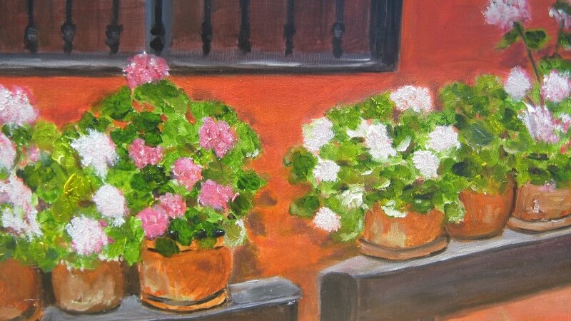 Geraniums