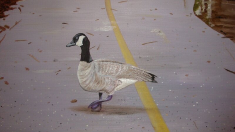 Why Did the Goose Cross the Road?