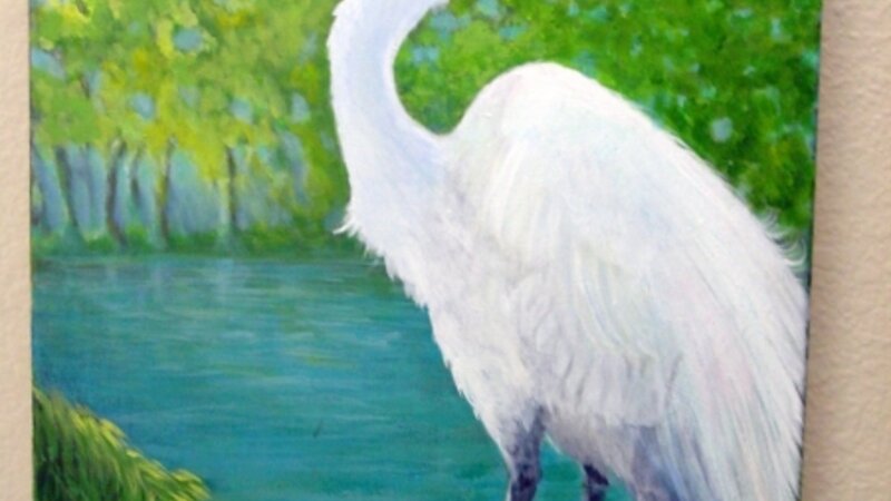 Great Egret in Laguna de Santa Rosa