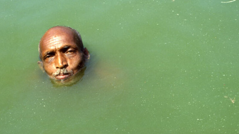 Head in green water