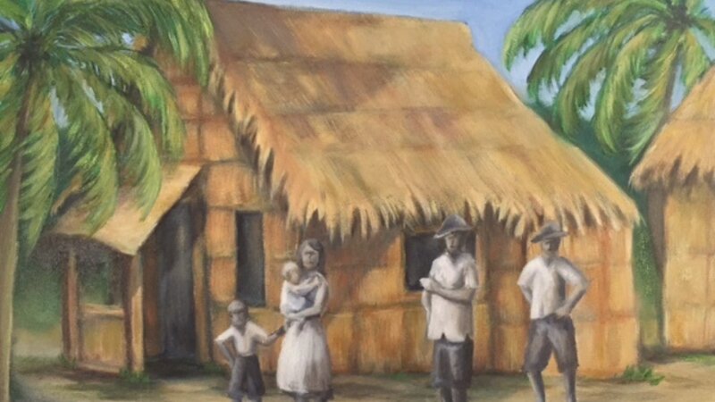 Hawaiian home