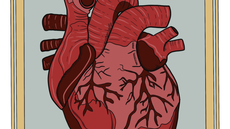 Anatomical art with art nouveau inspired background 