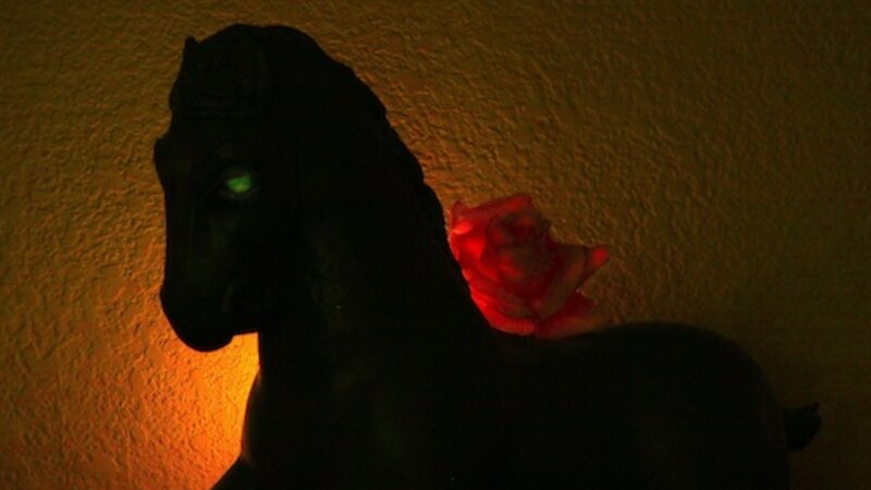 Red Rose & Stallion