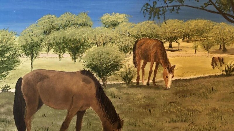 Vieques, Puerto Rico