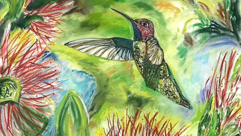 Hummingbird
