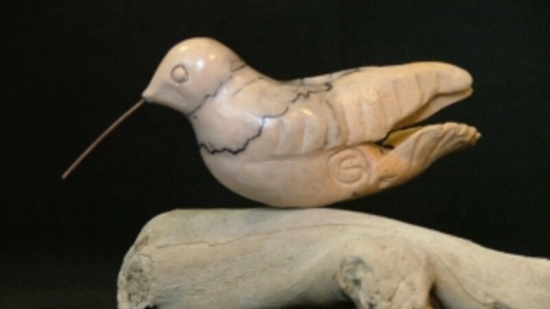 Horsehair Hummingbird