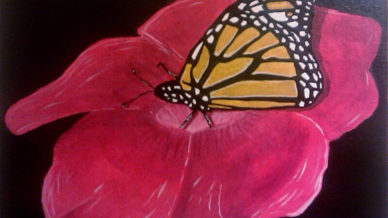 Monarch Butterfly
