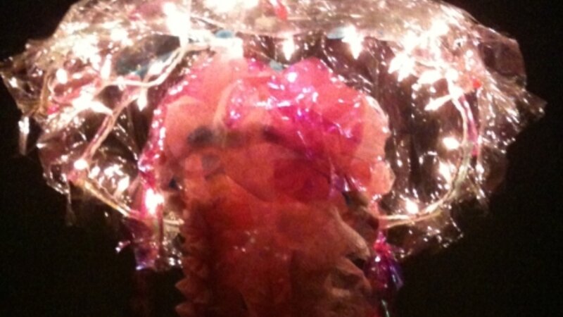 Jellyfish or... not?