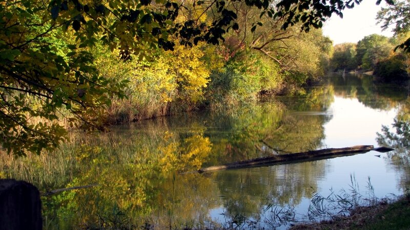 'The Wetlands At Oakwood Common"