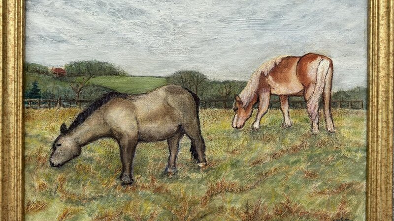 Gower Ponies