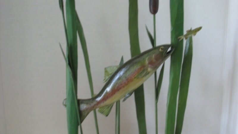 Rainbow Trout chasing a minnow