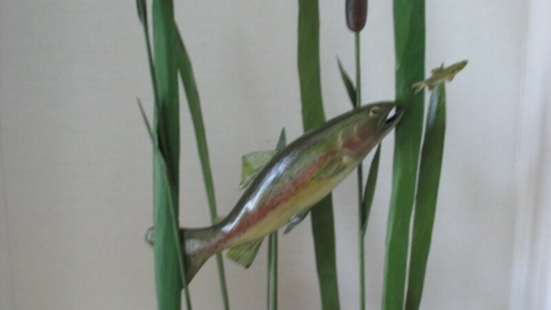 Rainbow Trout chasing a minnow