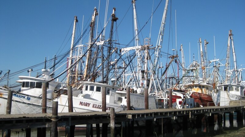 View from the Blue Claw