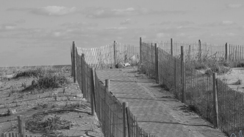 UNDER THE BOARD WALK