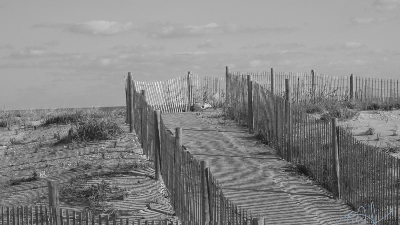 UNDER THE BOARD WALK