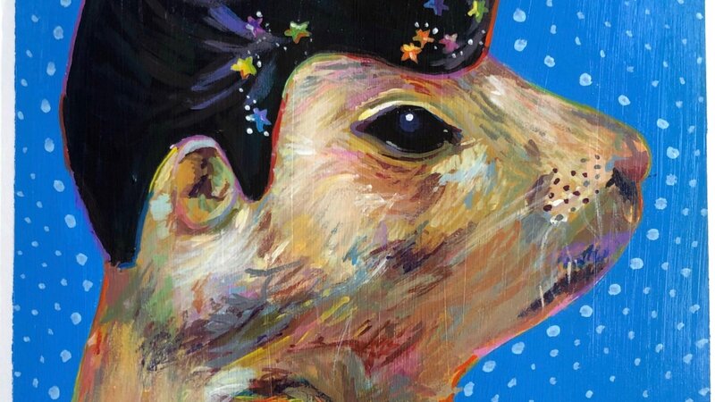 A prairie dog with Elvis hair, and glitter stars in his hair. A blue background. 