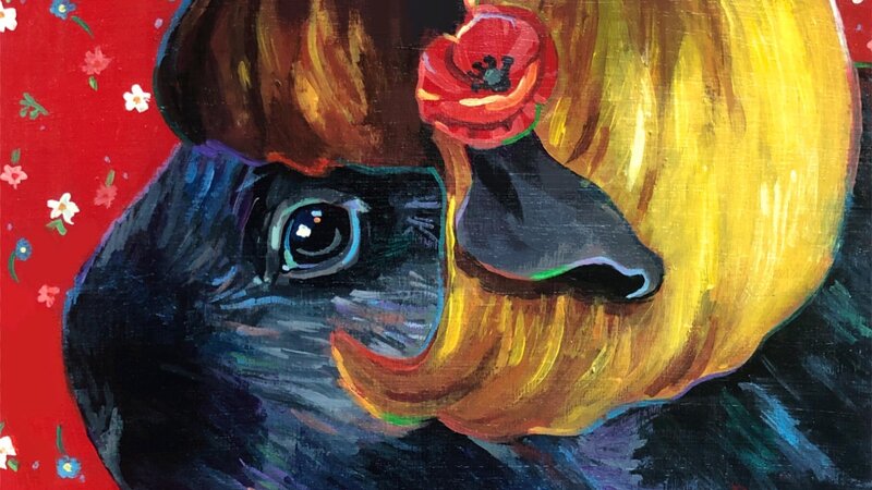 A black guinea pig with a yellow mid century hairstyle. She has a white headband, and the background is floral red. 