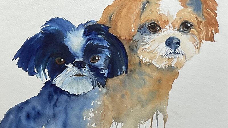 Two dogs in transparent watercolor 16”x20”