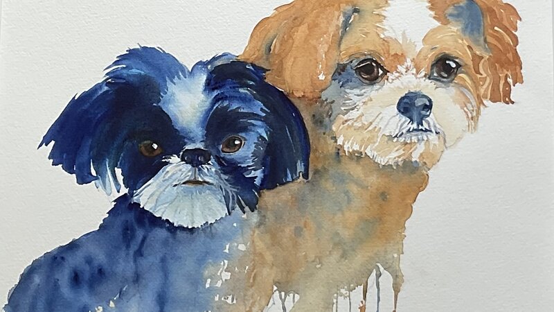 Two dogs in transparent watercolor 16”x20”