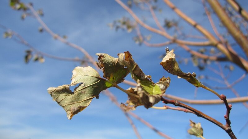 The beginning of fall