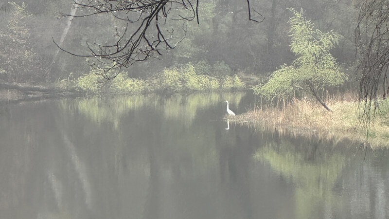 A peaceful morning scene on Lake Emily.