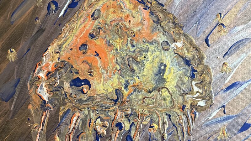 Multiple color jelly fish 