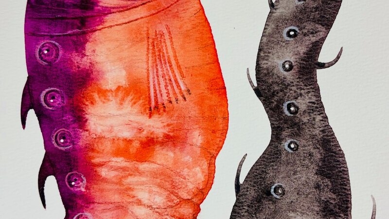 Painting in gouache and colored pencils, January, 2025. 