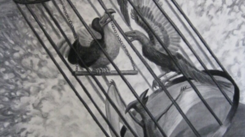 A Monument to Charles Darwin