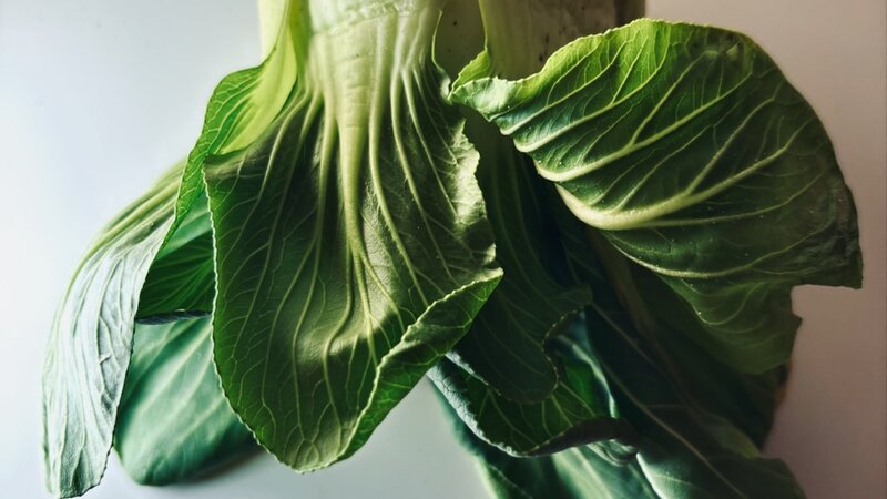 Photograph of Boo Choy Vegetable, February 18, 2025.