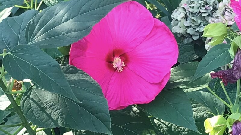 Spring is blooming!!! 