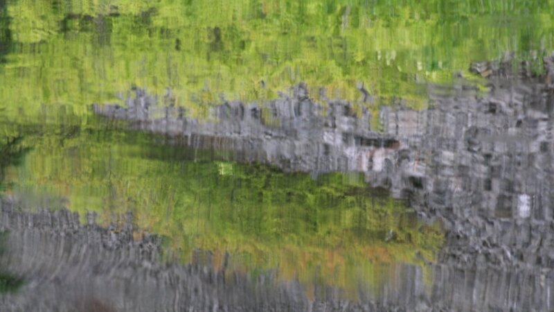 Shadows in the Lake
