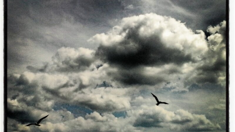 Take Flight