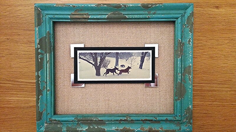 Winter, dogs, snow, running, chasing