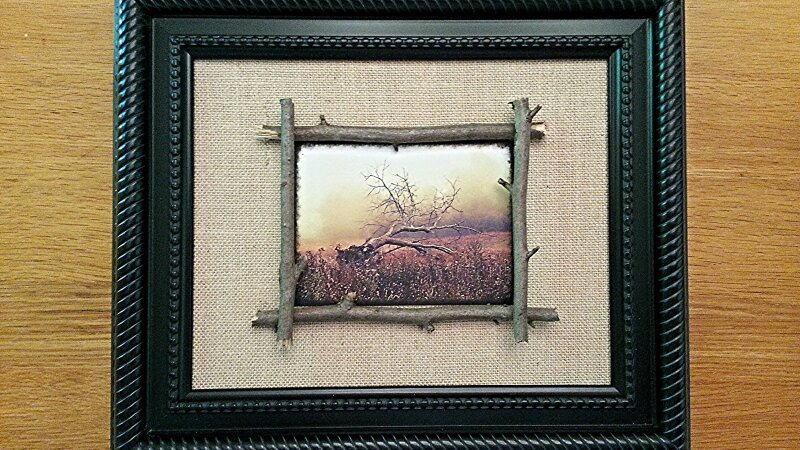 Fallen Tree--Displayed