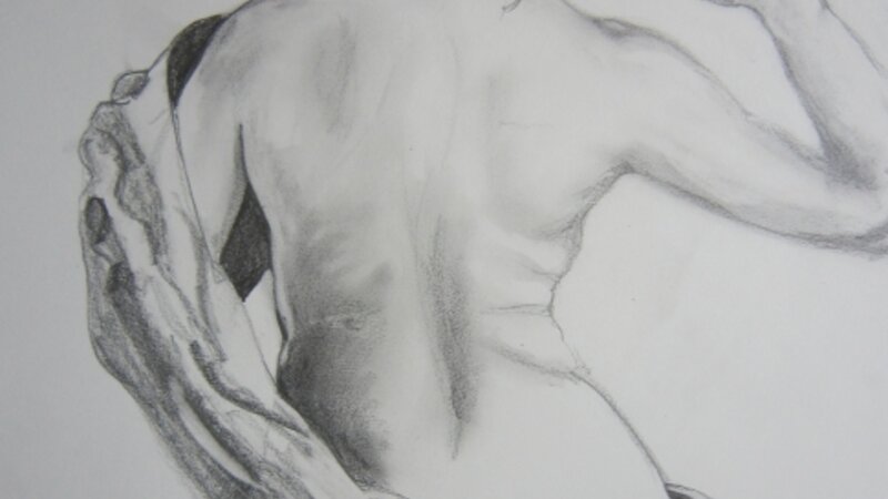 Torso Study