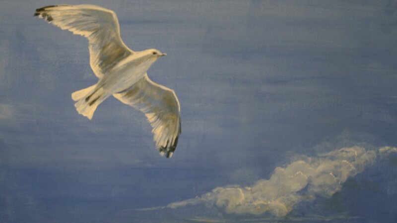 Soaring high