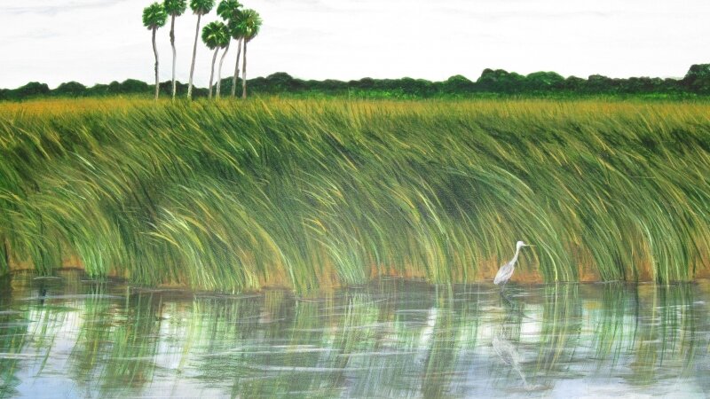 Nine Cabbages on Lake Kissimmee