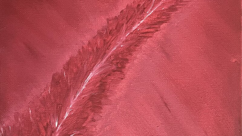 all red in red feather 