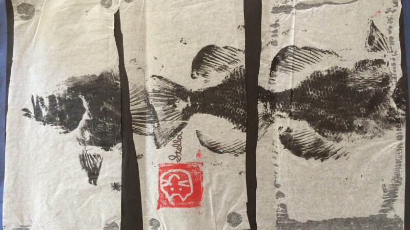 There are many fish in the sea