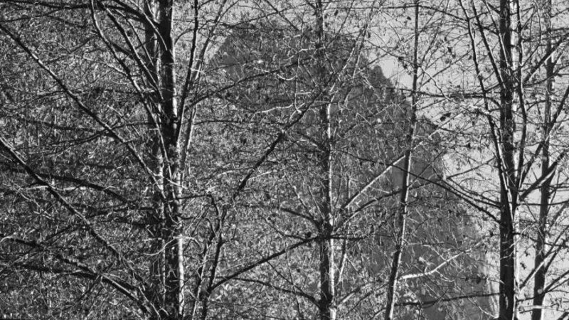 Half Dome Yosemite National Park 11-2009