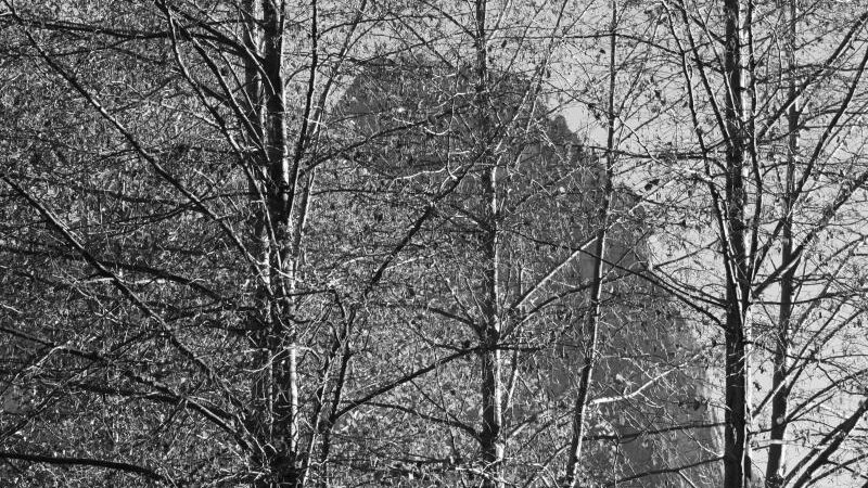 Half Dome Yosemite National Park 11-2009