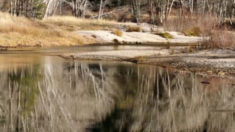 Fall in love with Yosemite 