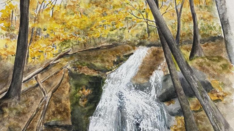 A Glorious Day at Crabtree Falls in Virginia