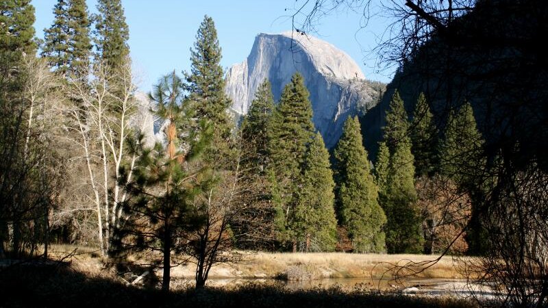 Yosemite 2009