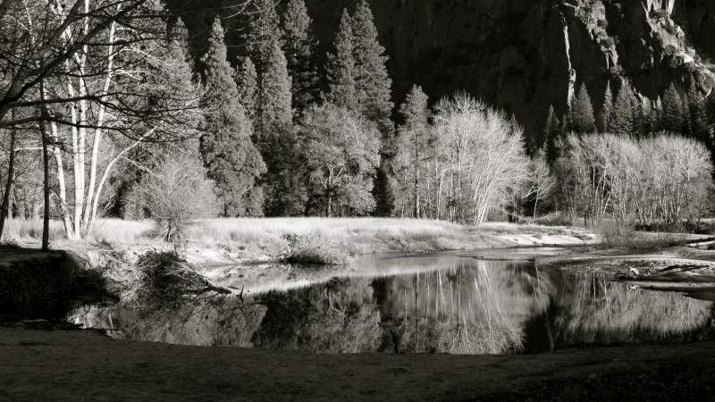Yosemita National Park 11-2009