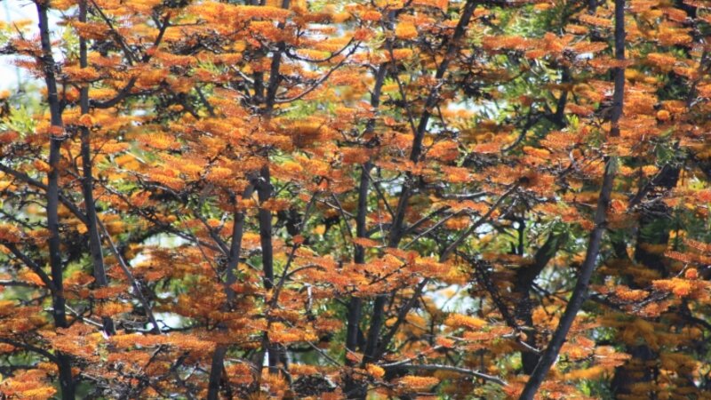 Around......Griffith Observatory  Los Angeles, Ca